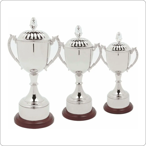 Bright Nickel Chrome Plating 1